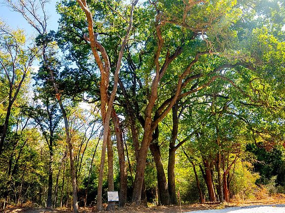 5th image of 12320 Red Hill Rd