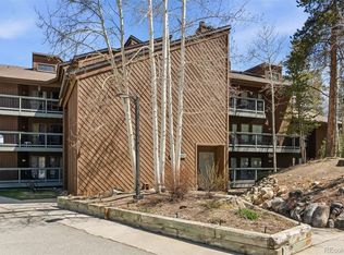 423 Wild Irishman Rd #13204, Montezuma, CO 80435