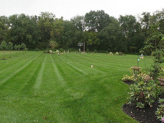 Large 3+ acre yard backed by protected grounds and lined with fruit trees