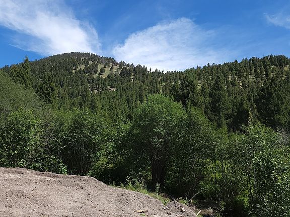 4th image of 13 Nevada Creek Ranch Dr
