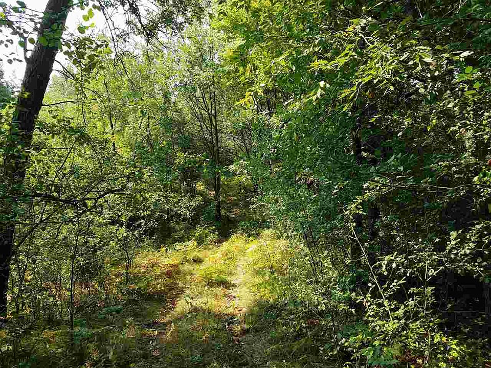 2nd image of W9216 S County Road A