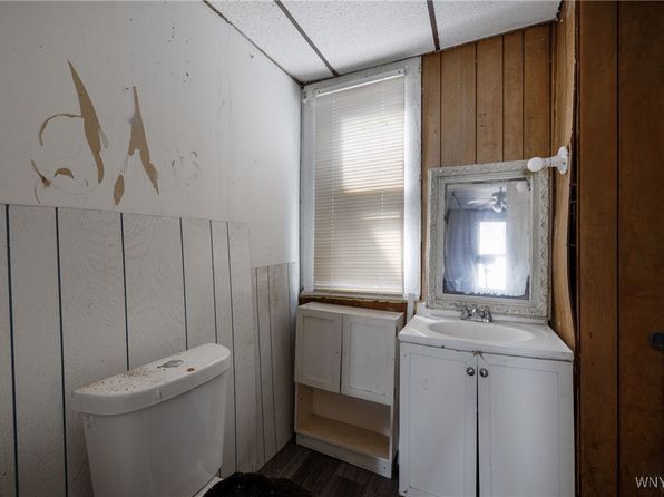 buffalo-new-york-30171947 picture