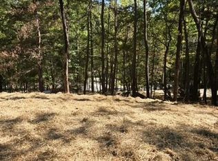 29 Treetopper Cir, Jasper, GA
