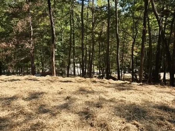 29 Treetopper Cir, Jasper, GA 30143