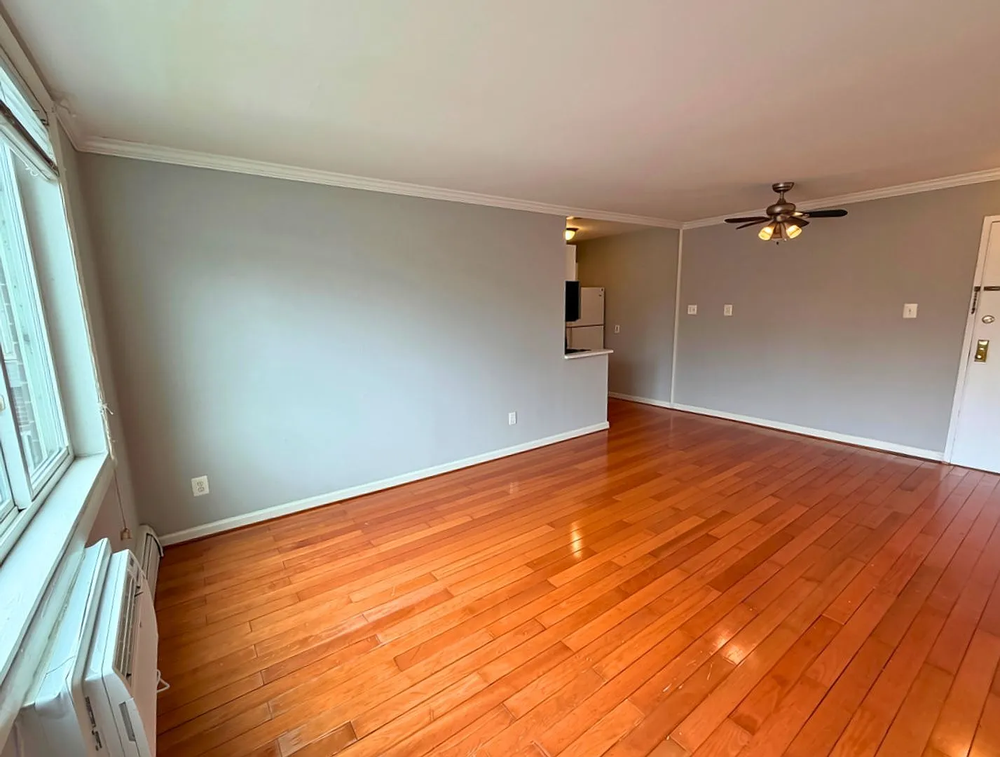 Light-Filled 1BR, 1BA in the Heart of Brookland — Photo 4