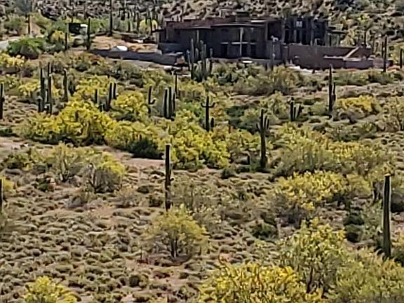3rd image of 7415 E Continental Mountain Dr #11