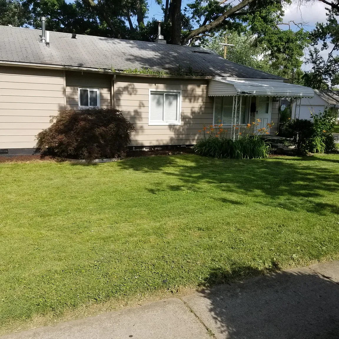 15400 Dixie photo 1