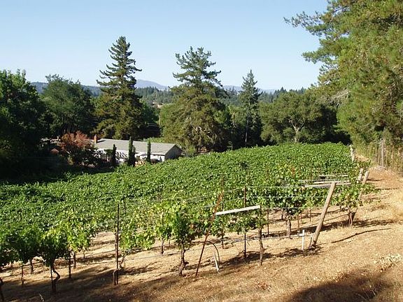 One acre of Cabernet and Syrah Vines on Dry Creek Valley Bench