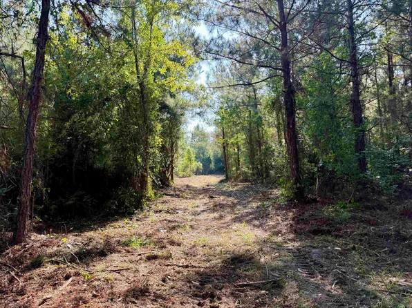 101.49 Acres - Epps Rd., New Zion, SC 29111