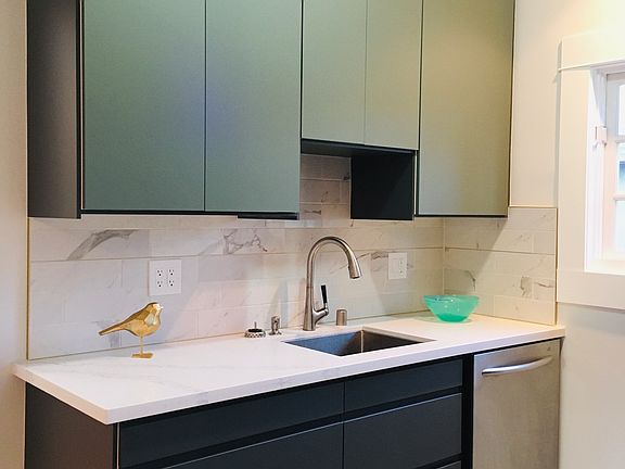 Kitchen sink dishwasher