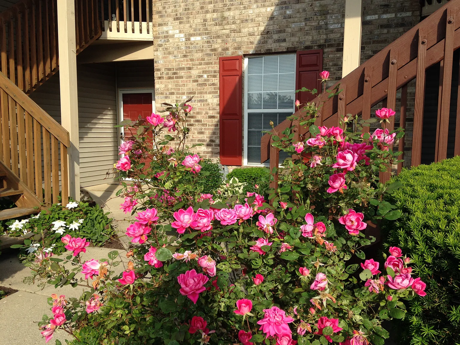 2 bed, 1025 sqft, $1,400 — Photo 2