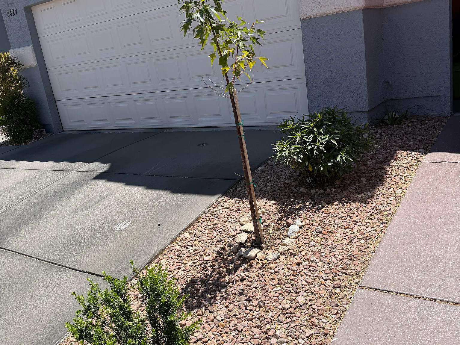 2 bed, 2.5 bath, 1329 sqft, $1,950 — Photo 4