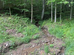 0 Chestnut Ln, Mars Hill, NC 28754