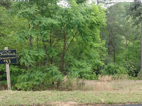 LOT 53 Brasstown Vw, Brasstown, NC 28902
