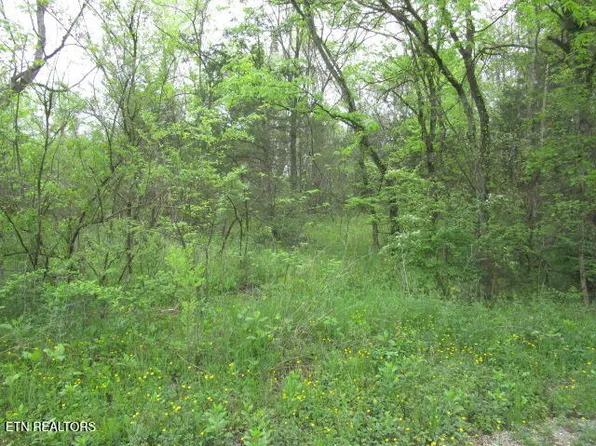 Silent Ln, Rutledge, TN 37861