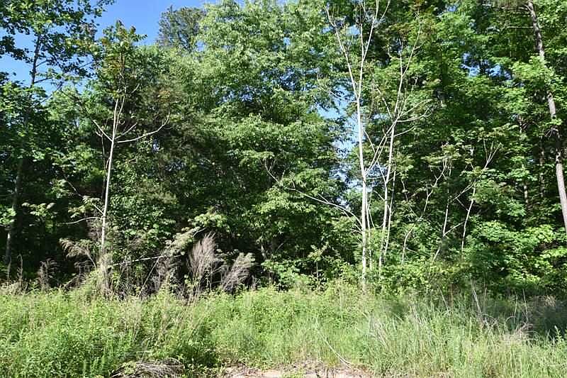 2nd image of 128 Baltic Ct