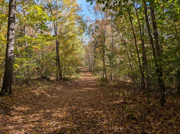 0 Gibbs Mill Road, Livermore, ME 04253