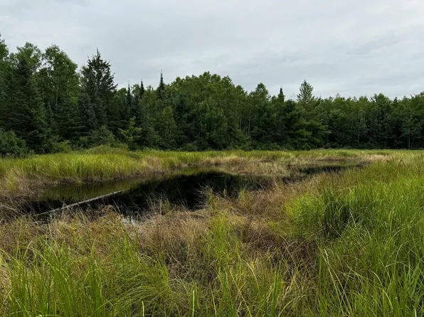 0 Pine Lake Rd Lot 1, Minocqua, WI 54548