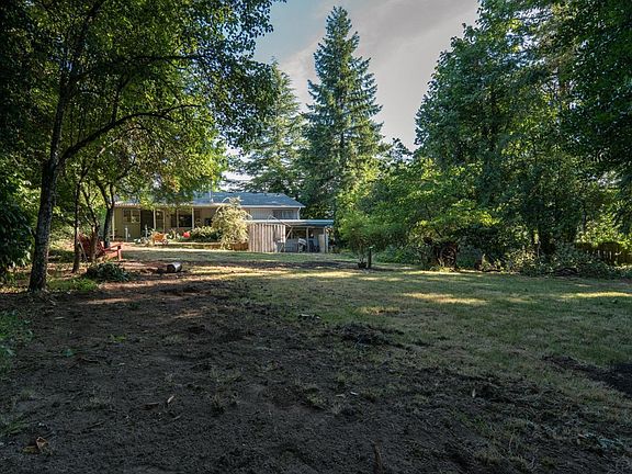 Back Yard (Just reseeded)