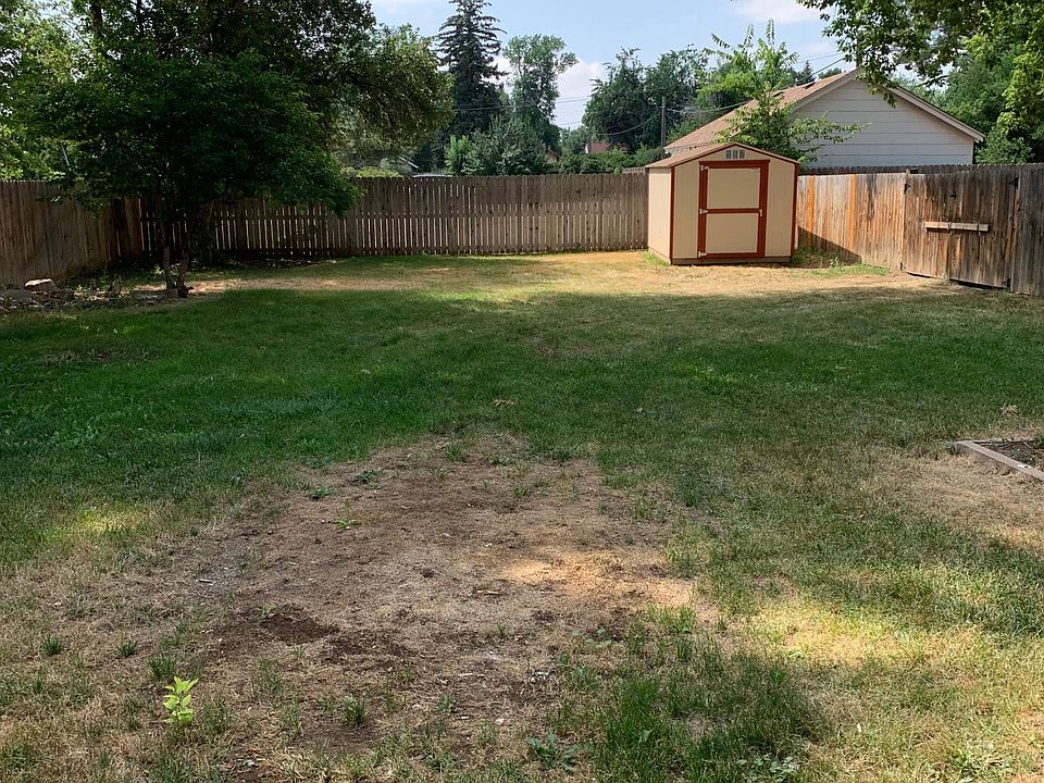 back yard