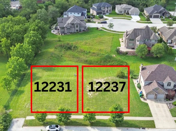 12237 W Silver Maple Dr #18, Homer Glen, IL 60491