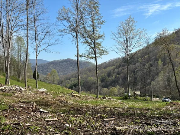 NW Lot Silas Branch Rd, Burnsville, NC 28714