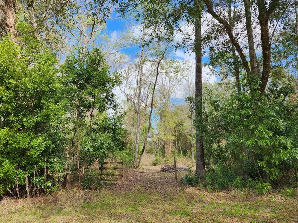 239 SW Aries Pl, Fort White, FL 32038