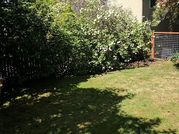Shared Backyard