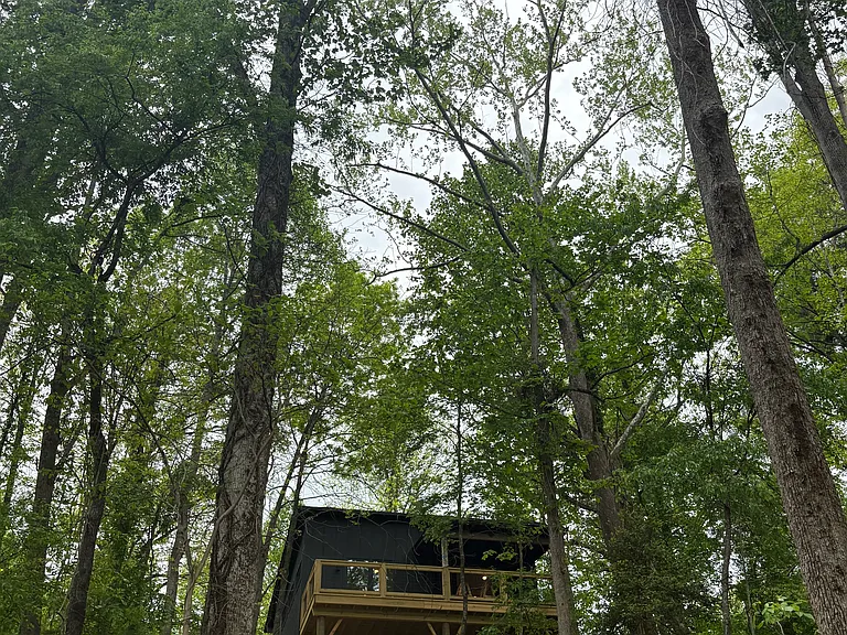 Hominy Preserve Ln — Photo 16