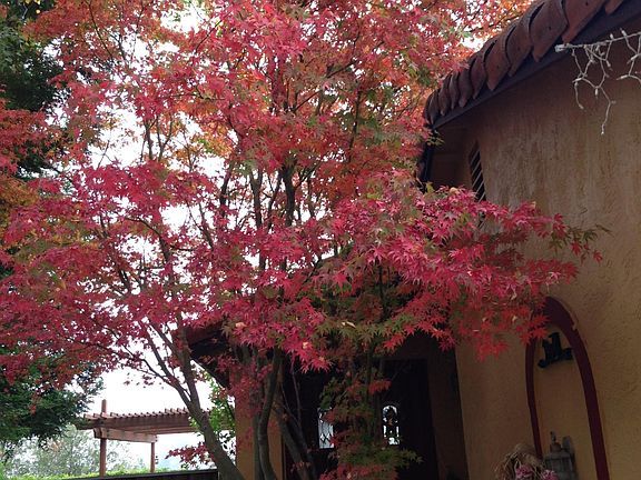 Front yard Entrance to home