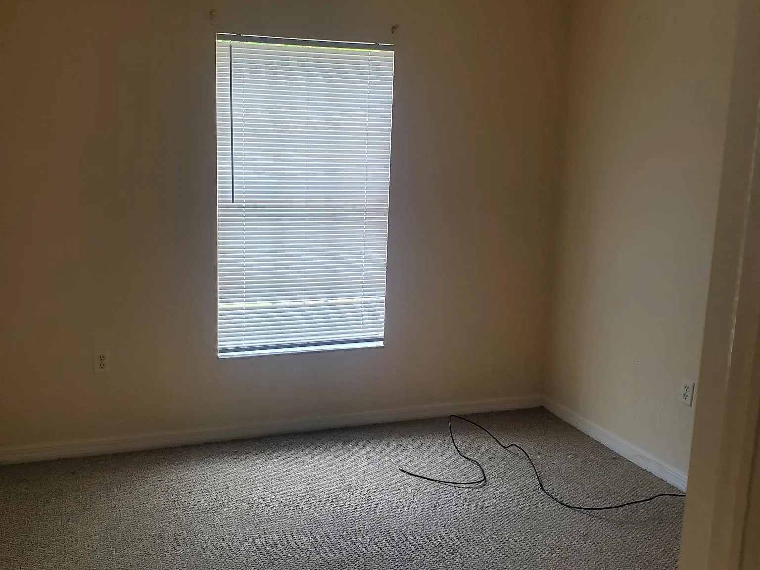 3 bed, 1232 sqft, $1,800 — Photo 4