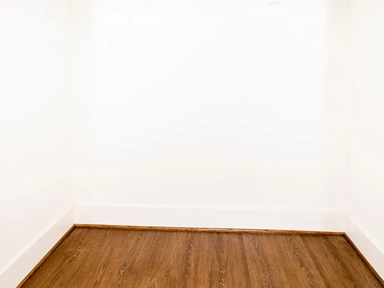 Bedroom 2 walk-in closet