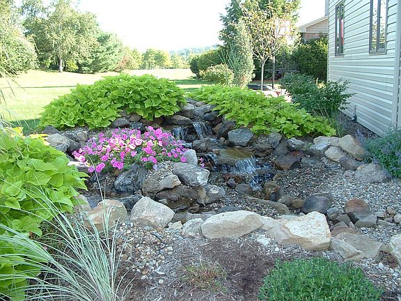 Tranquil water garden