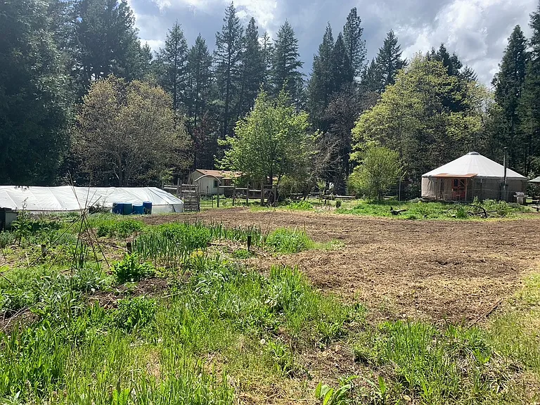 China Creek Rd — Photo 8