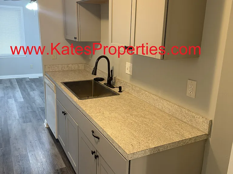 Kitchen - Sink Area