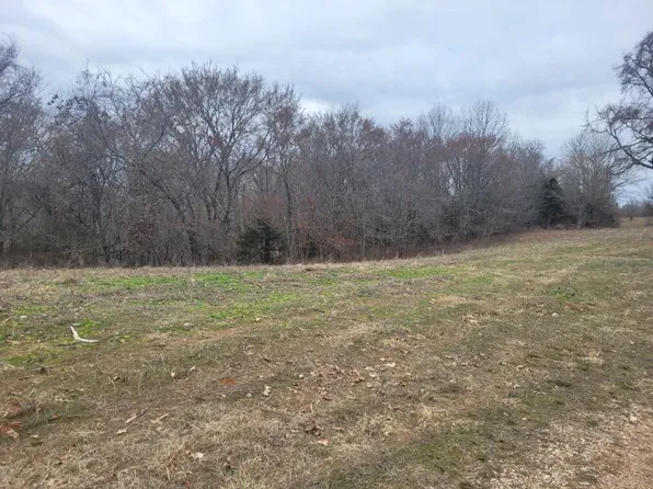 Lot 3 Songbird Road, Washburn, MO 65772
