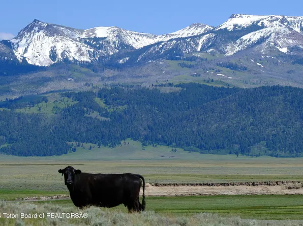 N Valley Rd, Lima, MT 59739