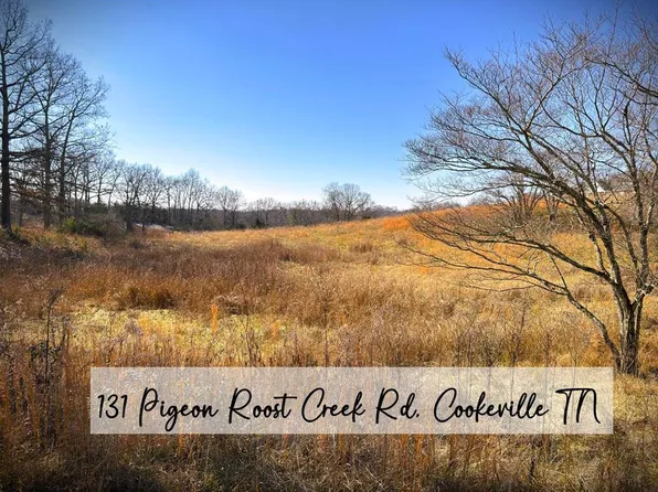 131 Pigeon Roost Creek Rd, Cookeville, TN 38506