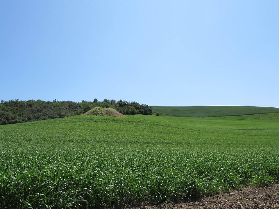 2nd image of Highway 194