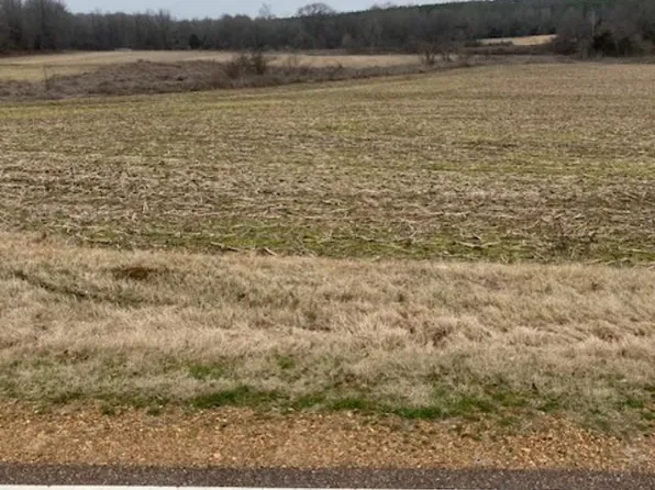 LOT 9002 Two Hudson Rd, Hernando, MS 38632