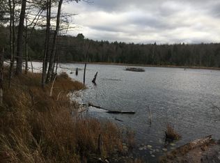 1169 Dartmouth Rd, Athol, NY 12810