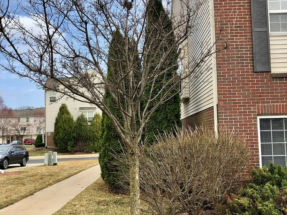 Corner unit
