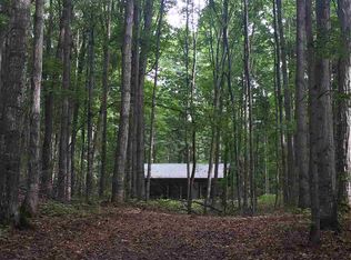 8632 Cunningham Rd, Mancelona, MI 49659