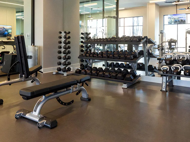 Free Weights and Training Equipment Set in Front of Mirror Wall