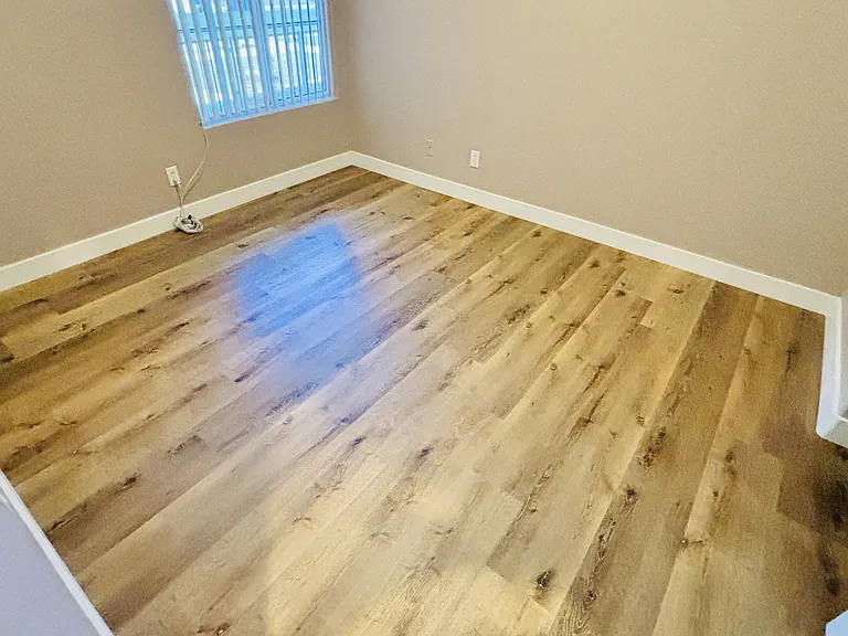 917 Coldwater Falls Way — Photo 12