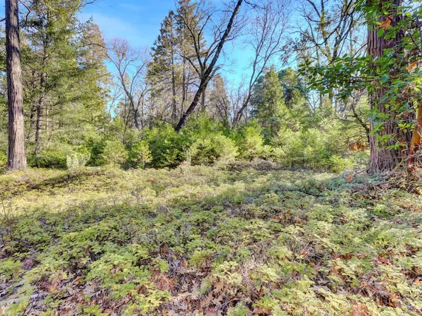 Cedar Ridge Dr, Grass Valley, CA 95945
