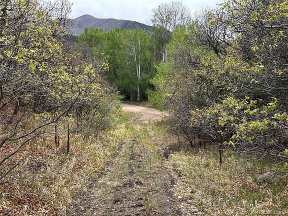 3rd image of 000 Pass Creek Rd LOT 35 AC