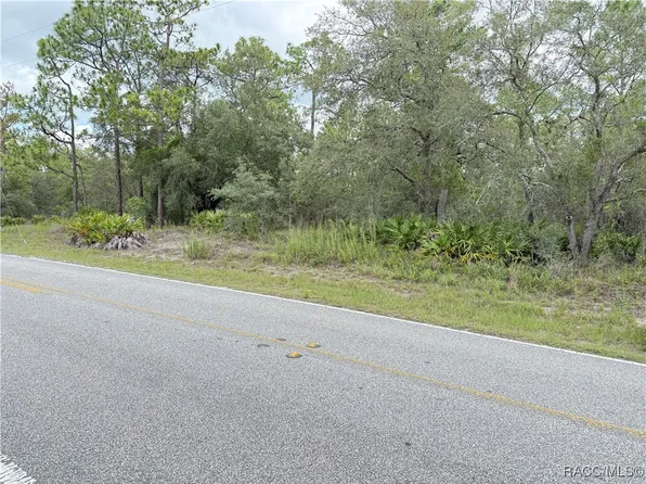 0 Fulton Ave, Weeki Wachee, FL 34613