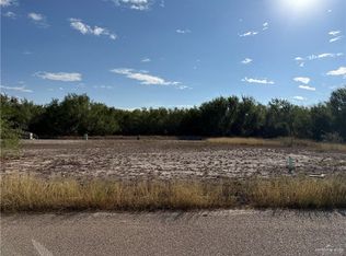 5101 Blackbird, Rio Grande City, TX 78582