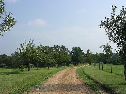 View coming down driveway